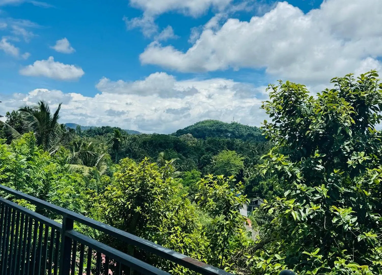 Bed & Breakfast Daffodil Home Kandy