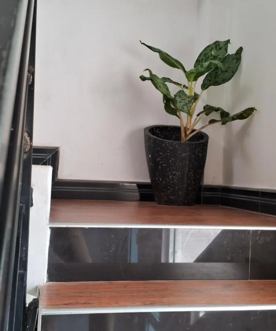 Daffodil Home Kandy Bed & Breakfast